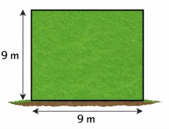 terreno quadrado